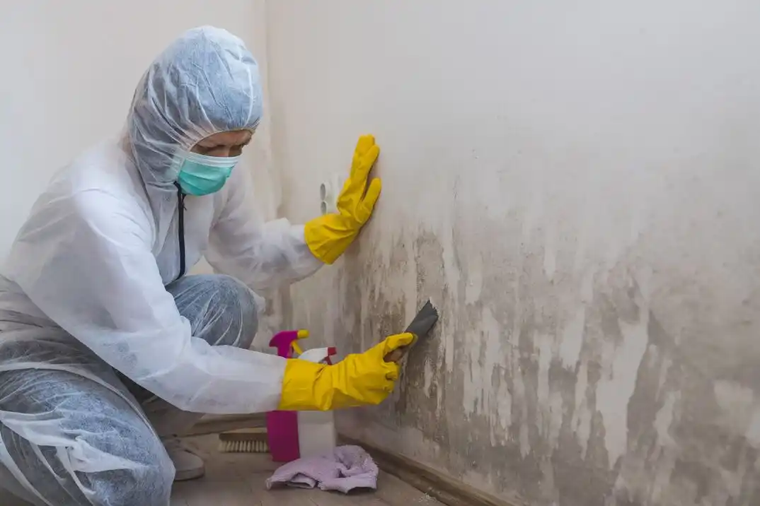 water damage restoration service Livingston - McNaughten